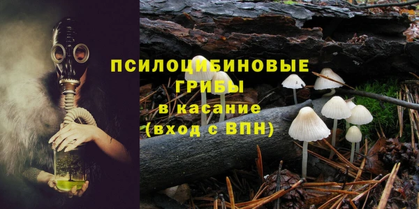 СК Богородицк