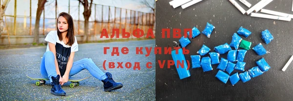 СК Богородицк