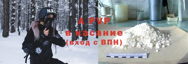 СК Богородицк