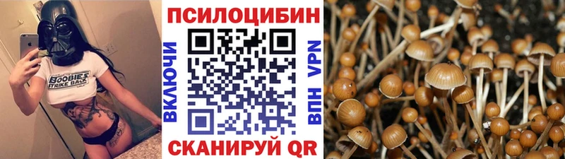 Купить закладки  Энгельс  Псилоцибиновые грибы ЛСД 
